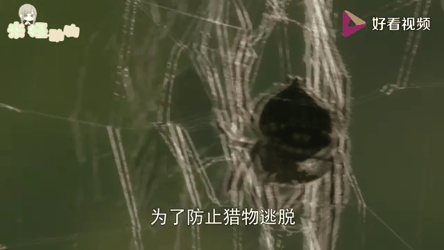 开云体育-精彩一幕接着一幕，观众眼花缭乱