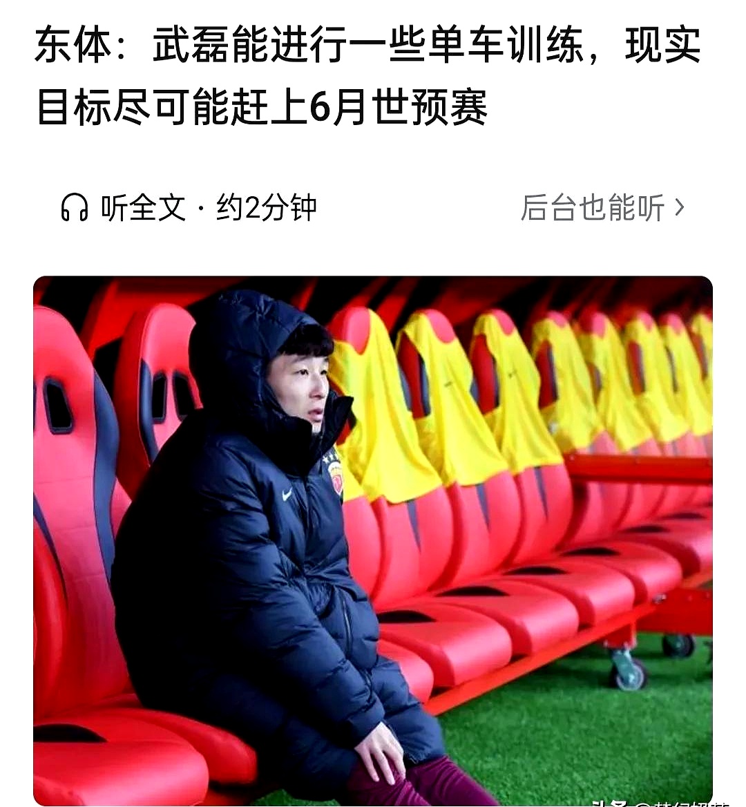 巴西國家隊取得勝利斯蒂文斯晋级
