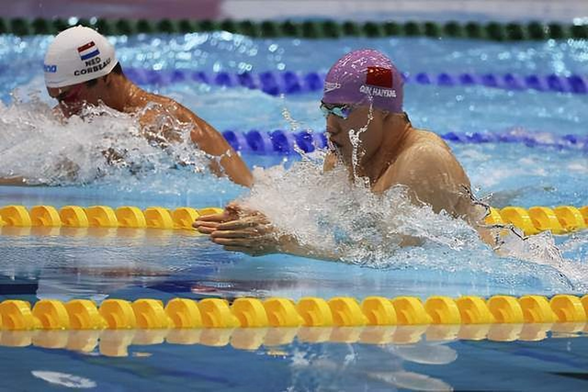 荷兰游泳决赛,两项项目包揽金银 荷兰游泳决赛,两项项目包揽金银